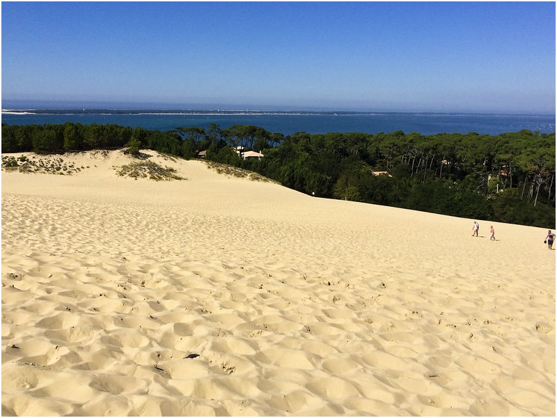 Dune Pilat