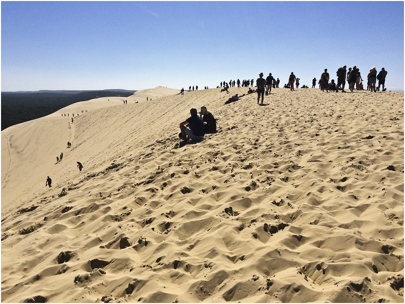 Dune Pilat