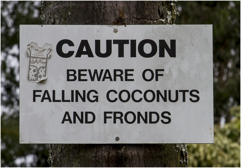 Big Island