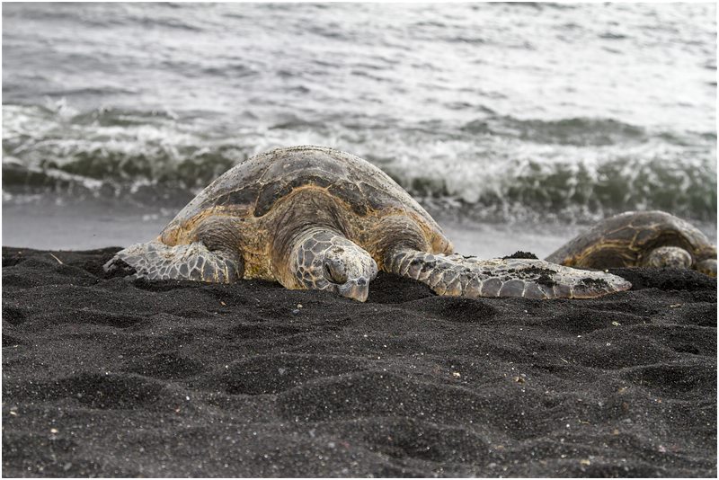 Big Island