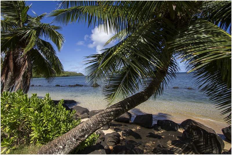 Anini Beach