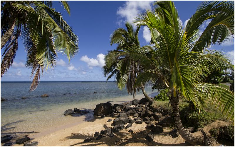 Anini Beach