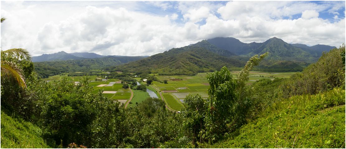 Princeville