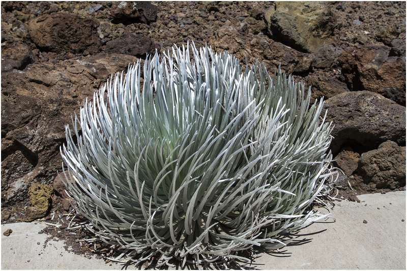 Haleakala