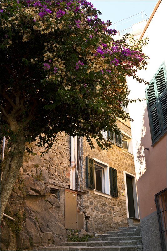 Manarola